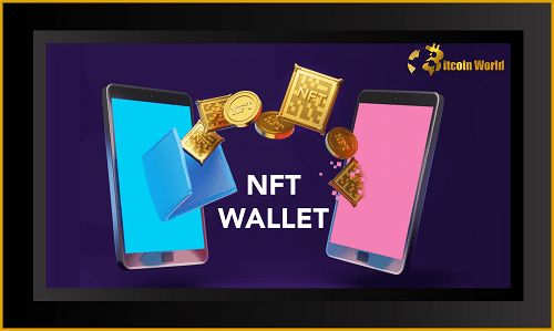 How To Choose The Best NFT Wallet For Use