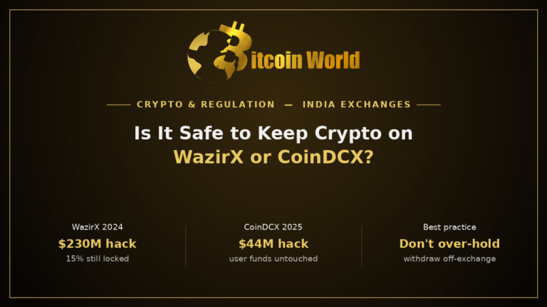 Is It Safe to Keep Crypto on Indian Exchanges Like WazirX or CoinDCX?
