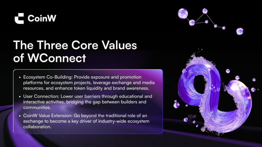 Cross-Ecosystem Co-Building: WConnect as a New Platform for Web3 Synergy