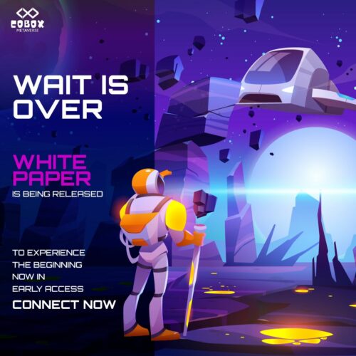 COBOX METAVERSE