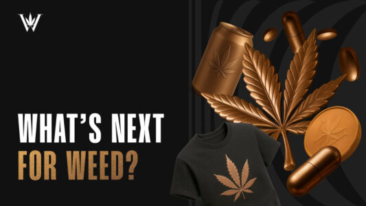 Weed Launches Global Well-Being Platform Powered by AI