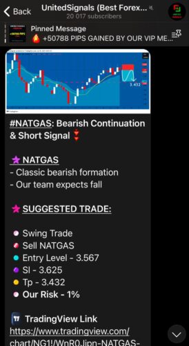 UnitedSignals Telegram Channel Review