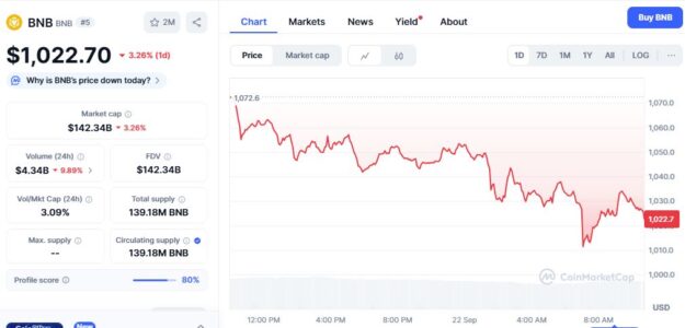 BNB Looks Bearish At $984 And LINK Shows Weakness At $23 While Digitap Enjoys Analyst 20x Forecast