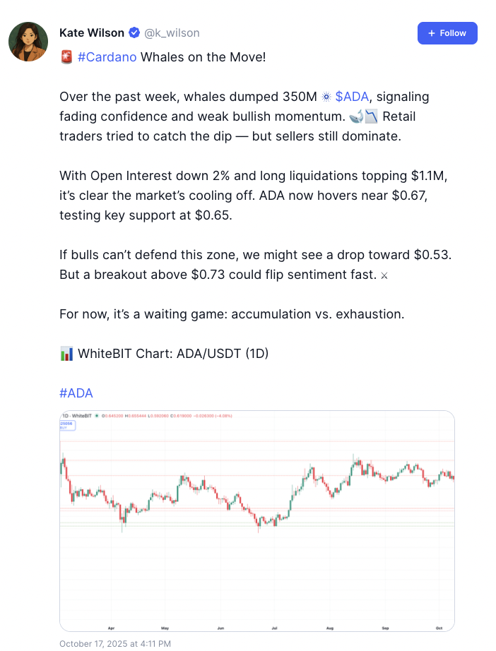 Cardano Price Prediction Revised Downwards as All Eyes Turn to Digitap's ($TAP) Path to $20