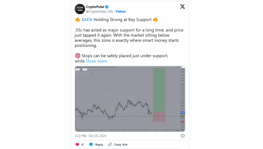 Ethereum and Cardano Attempt Market Recovery, But Digitap's Leading Position in Global Payments Makes It the Next Possible 50x Coin