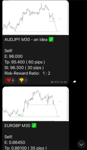 BullPipsWinner Telegram Channel Review