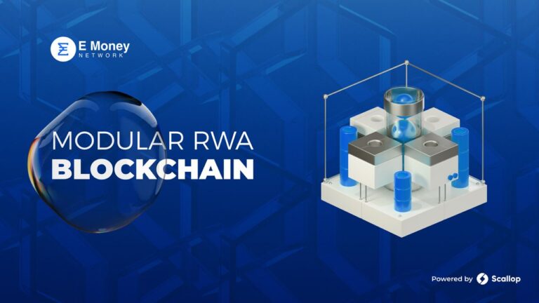 E Money Network: Leading Compliance-Focused Blockchain for RWAs