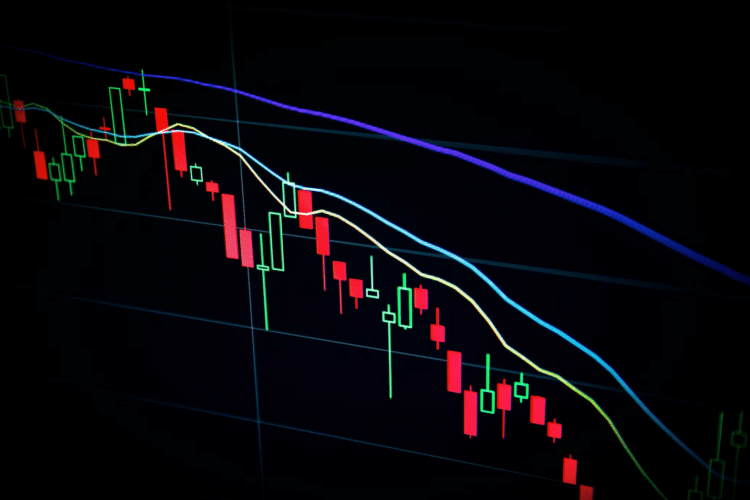 A Portrait of Crypto in 2023