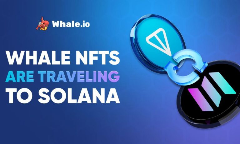 Whale NFT Bridge Goes Live: TON to Solana Migration Launches on Bridgemedaddy.com
