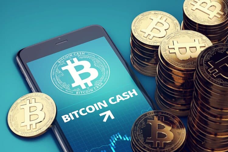 Investment Spotlight Q1 2024: The Rising Appeal of Borroe Finance, Bitcoin Cash, and ORDI