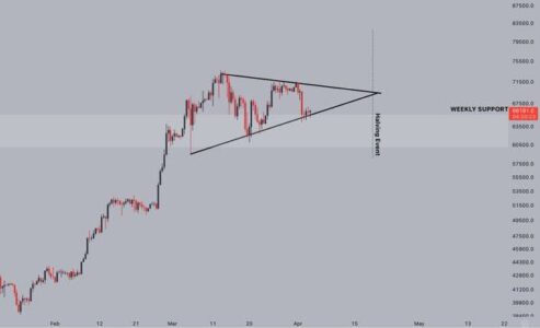 Bitcoin Eyes New ATH of $82,000 as Bullish Pennant Takes Shape; Filecoin Contender Witnesses Heightened Institutional Interest