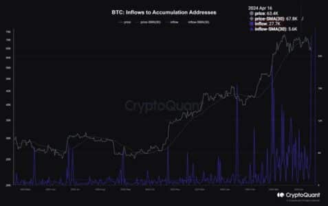 Bitcoin Accumulation Addresses Experience Significant Inflows as AI Crypto Anticipates Substantial Upswing