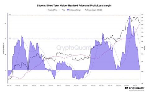 Bitcoin Accumulation Addresses Experience Significant Inflows as AI Crypto Anticipates Substantial Upswing