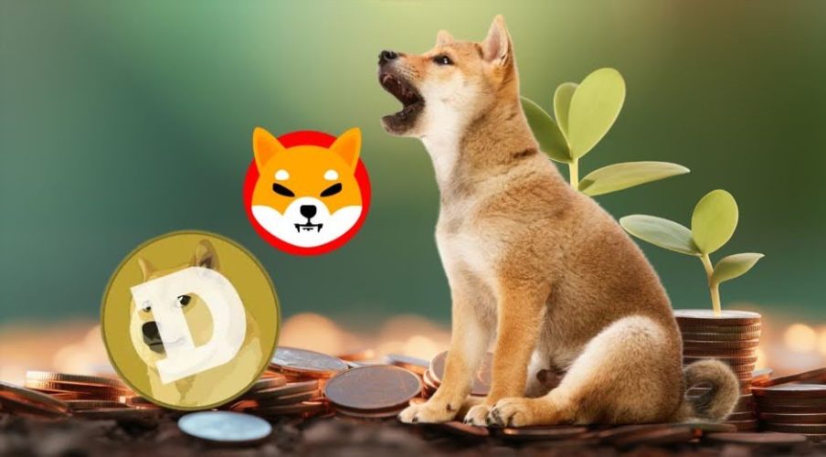 Dogecoin and Shiba Inu Investors Shift Focus to XYZVerse (XYZ) for Its 100x Growth Potential