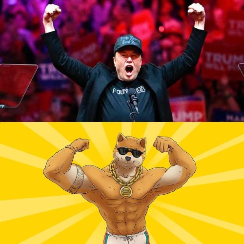 Crypto Meme Giants Beware: This New Meme Token Is Gaining Momentum Fast, Predicted to Outdo BONK and SHIB With 5,000% Gains