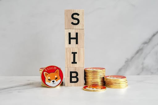 Why Shiba Inu Successor is the Investor's Choice for Maximizing Returns in Feb 2024
