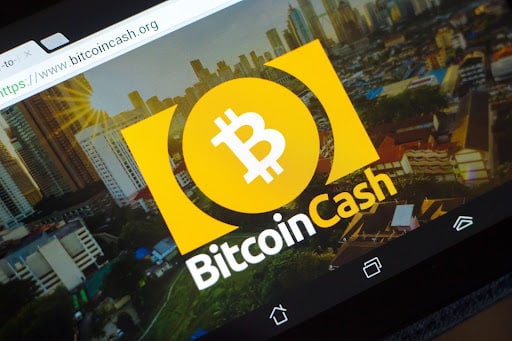Borroe Finance, Bitcoin Cash, or TRON: Who Will Dominate the Crypto Market in 2024 for Maximum Returns?