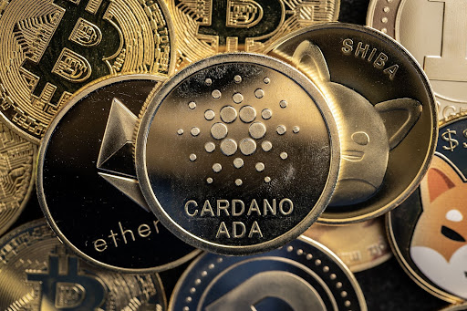 Investment Spotlight: Analyzing the Potential of Cardano, NuggetRush, and Polkadot in the Current Crypto Landscape