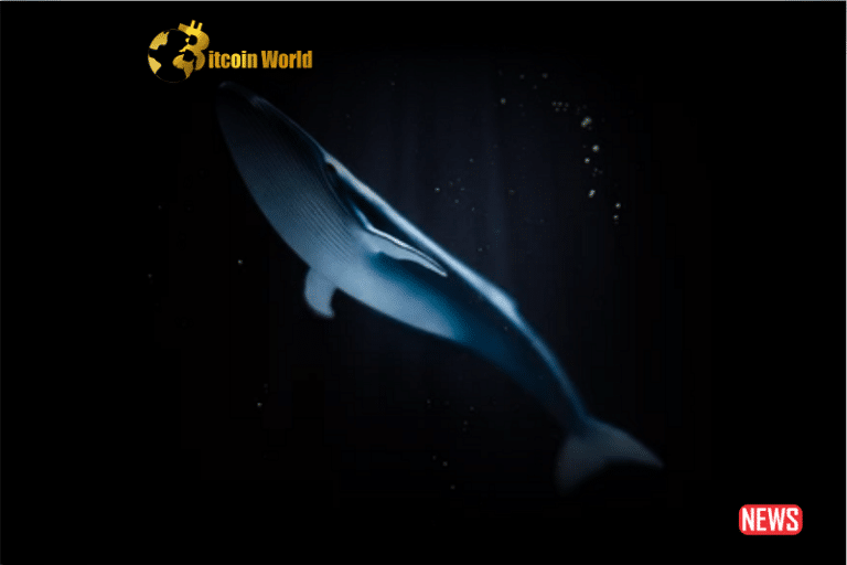 CRYPTO WHALES AND HOW TO SPOT THEM